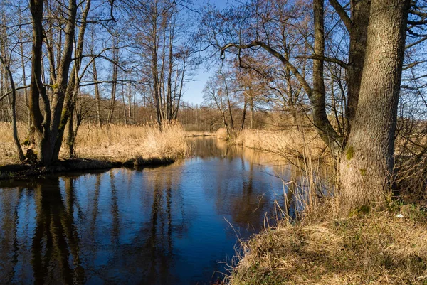 nehir üzerinde güzel göl.