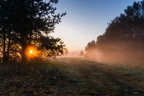 Narew Vadisi 'nde Sabah