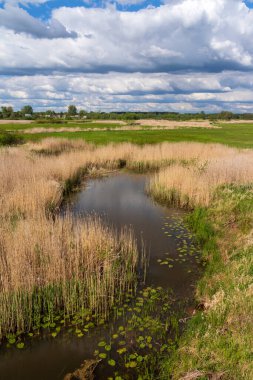 Narew Vadisi, Narew Nehri, Podlasie, Polonya