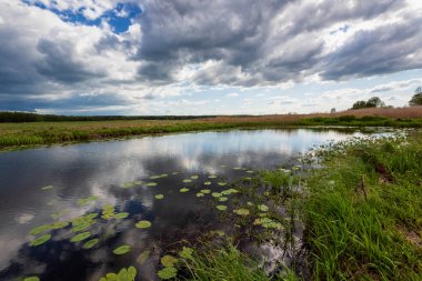 Narew Vadisi, Narew Nehri, Podlasie, Polonya