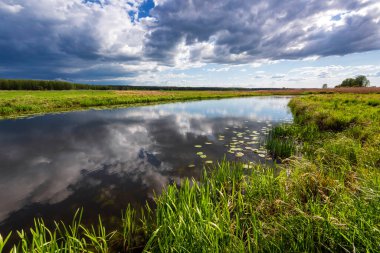 Narew Vadisi, Narew Nehri, Podlasie, Polonya