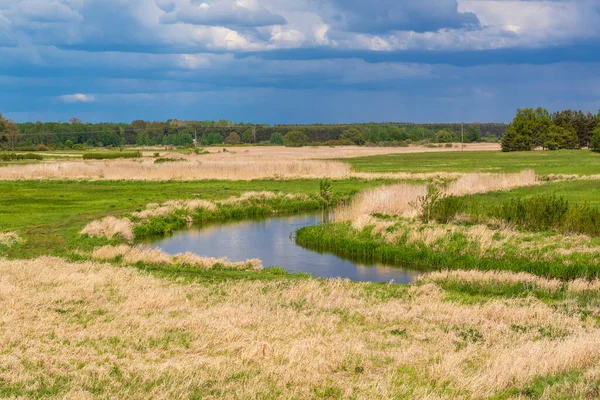 Narew Vadisi, Narew Nehri, Podlasie, Polonya