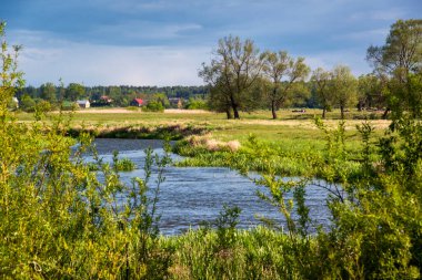 Yukarı Narew Vadisi. Narew Nehri, Podlasie, Polonya