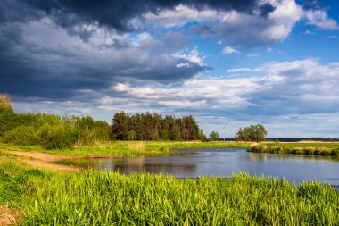 Yukarı Narew Vadisi. Narew Nehri, Podlasie, Polonya