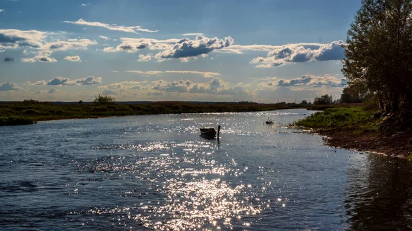 Yukarı Narew Vadisi. Narew Nehri, Podlasie, Polonya