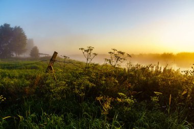 Narew Vadisi, Podlasie, Polonya 'da sabah sisleri