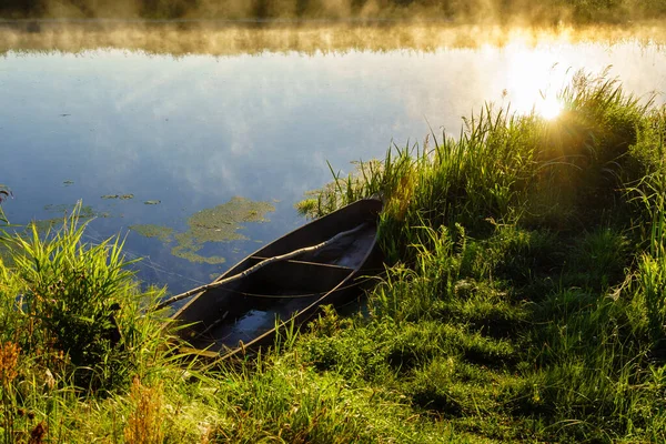 Reggeli Köd Narew Völgyben Podlasie Lengyelország — Stock Fotó