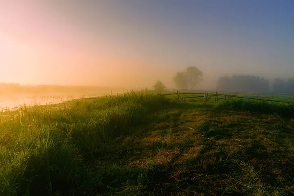 Nebbie Mattutine Nella Valle Narew Podlasie Polonia — Foto Stock