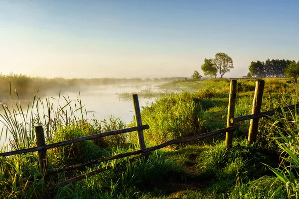 Narew Vadisi, Podlasie, Polonya 'da sabah sisleri
