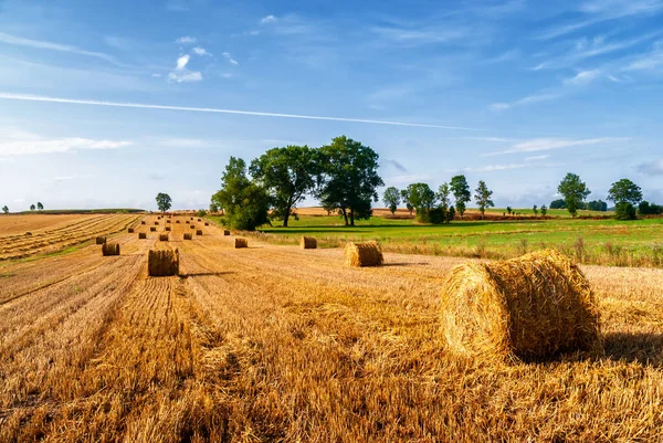 Kırsal alan, Podlasie, Polonya