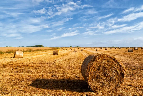 Kırsal alan, Podlasie, Polonya