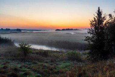 Narew Vadisi. Yazın son günü. Sabah sisli, Podlasie, Polonya