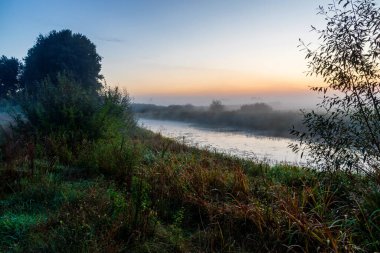 Narew Vadisi. Yazın son günü. Sabah sisli, Podlasie, Polonya