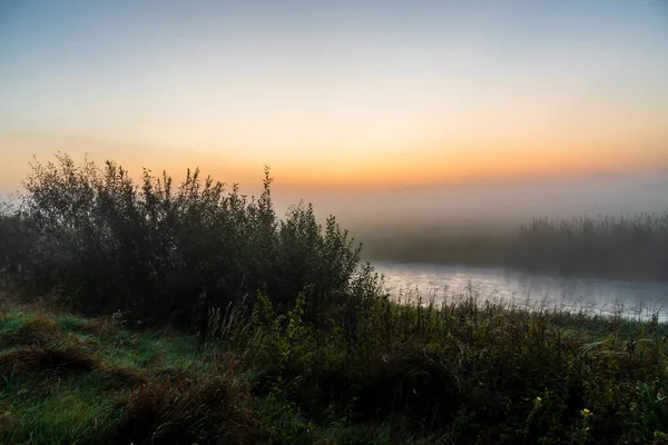 Narew Völgyben Nyár Utolsó Napja Reggel Ködös Podlasie Lengyelország — Stock Fotó