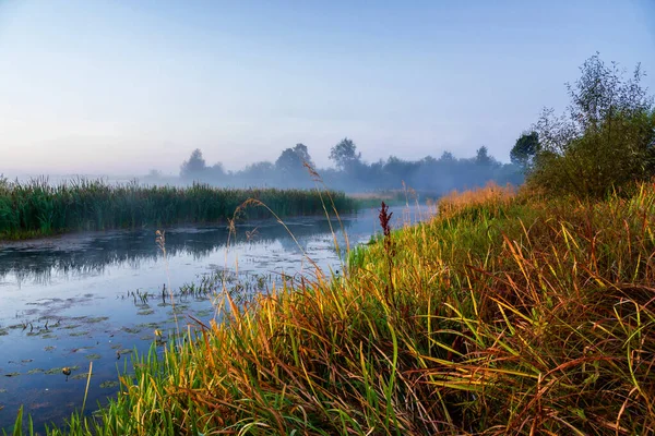 Valle Narew Último Día Del Verano Mañana Con Niebla Podlasie — Foto de Stock