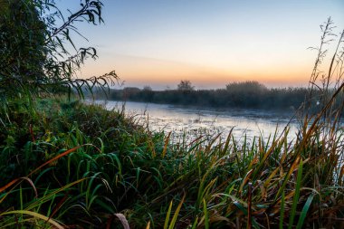 Narew Vadisi. Yazın son günü. Sabah sisli, Podlasie, Polonya