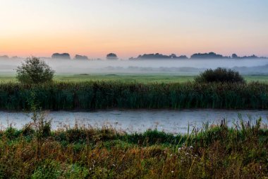 Narew Vadisi. Yazın son günü. Sabah sisli, Podlasie, Polonya