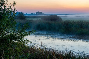 Narew Vadisi. Yazın son günü. Sabah sisli, Podlasie, Polonya