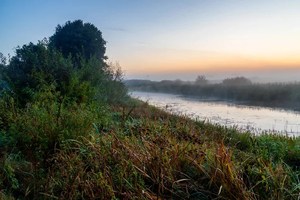 Narew Vadisi. Yazın son günü. Sabah sisli, Podlasie, Polonya