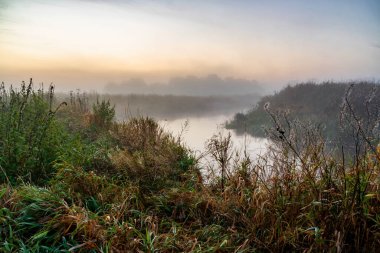 Polonya 'nın Podlasie kentindeki Yukarı Narew Vadisi' nde güzel bir sonbahar.