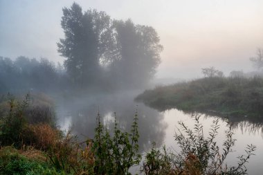 Polonya 'nın Podlasie kentindeki Yukarı Narew Vadisi' nde güzel bir sonbahar.