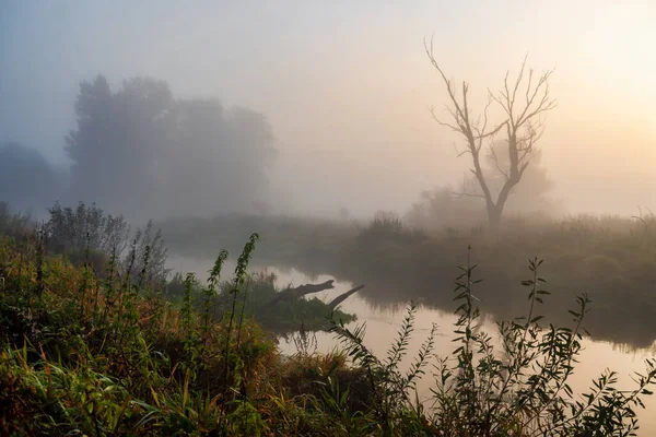 Gyönyörű Ősz Felső Narew Völgyben Podlasie Lengyelország — Stock Fotó