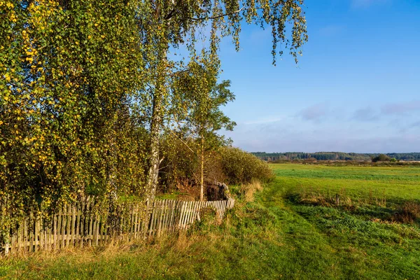 Schöner Herbst Oberen Narew Tal Podlasie Polen — Stockfoto