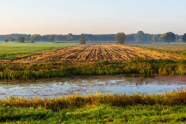 Beleza Uma Manhã Enevoada Vale Narew Podlasie Polônia — Fotografia de Stock