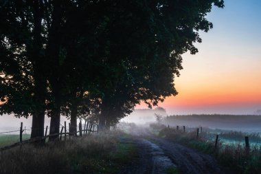 Polonya 'nın Podlasie kentindeki Narew vadisinde sisli bir sabahın güzelliği