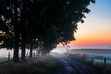 Polonya 'nın Podlasie kentindeki Narew vadisinde sisli bir sabahın güzelliği