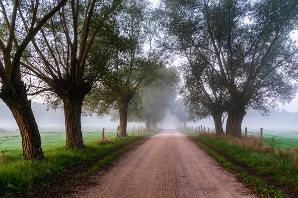 Beauty Misty Morning Narew Valley Podlasie Poland — Stock Photo, Image