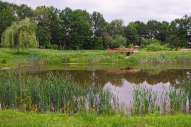 Yaz parkında gölet.