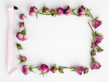 Yaratıcı şablon ya da beyaz arka plan modeli. Kurutulmuş pembe güller ve bir kalem çerçevesi. Üst Manzara. Boşluğu kopyala.