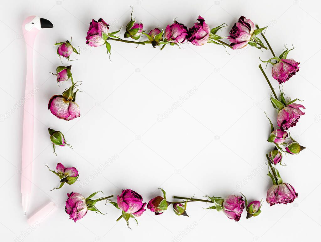 Creative template or mock up on white background. Frame of dried pink roses and a pen. Top view. Copy space.