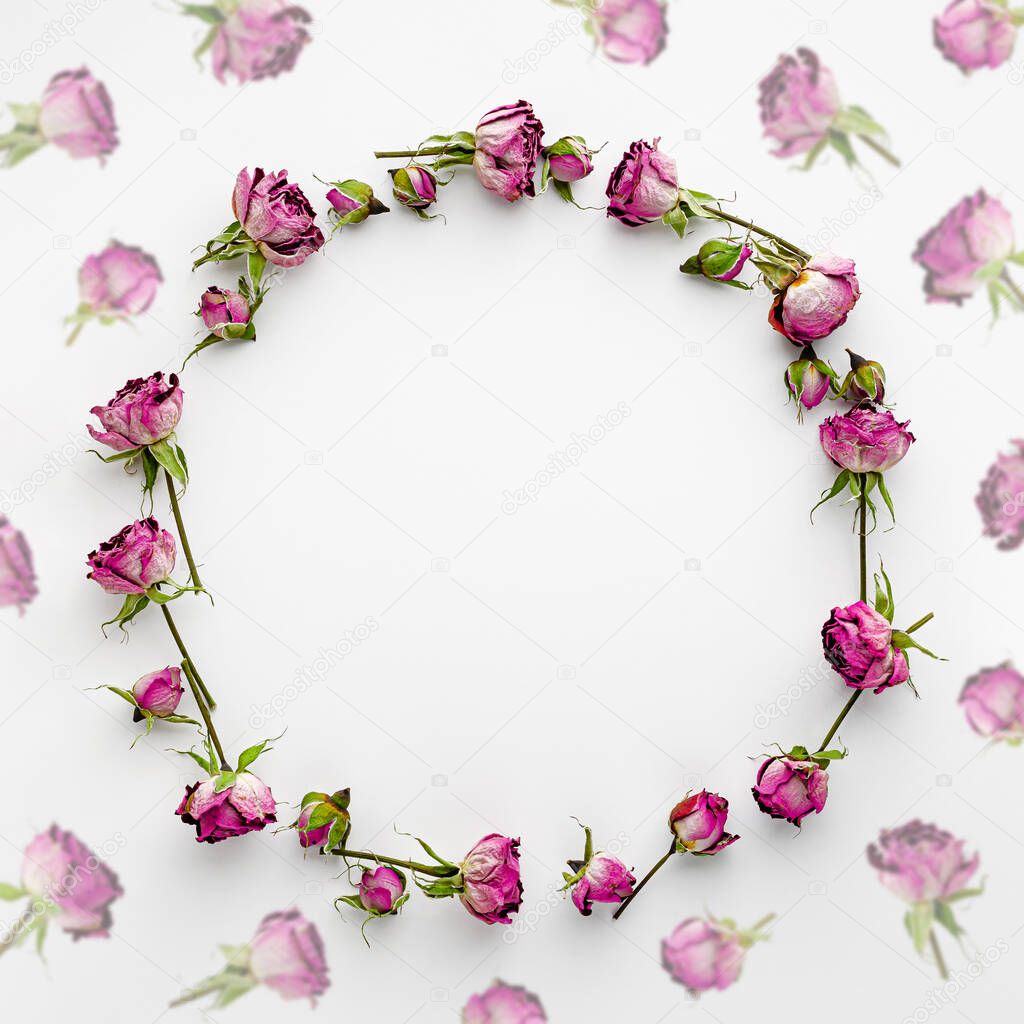 Round frame or wreath made of dried pink roses on white. Creative template and holidays background.