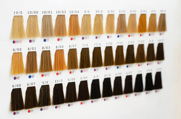 Conjunto Paletas Muestras Cabello Tintes Para Diferentes Tonos Colorista Capilar — Foto de Stock