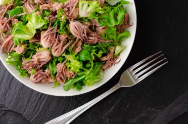 Deniz ürünleri aperatifi, bebek ahtapot salatası ve konserve ton balığı. Akdeniz ürünleri konsepti. Boşluğu kopyala