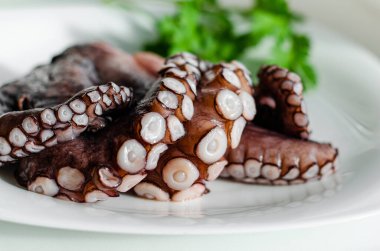 Beyaz arka planda çiğ ahtapot dokunaçlarını kapatın. Geleneksel İtalyan lezzeti. Sağlıklı beslenme.