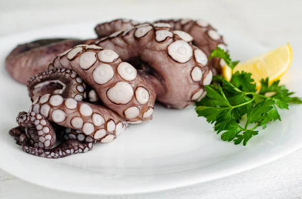 Close up of raw octopus tentacles on white plate is ready to be cooked. Mediterranean seafood delicacy. Natural healthy food