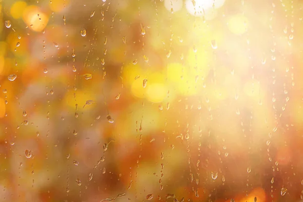 Natur Höst Bakgrund Regn Droppar Fönstret Med Orange Blad Och — Stockfoto