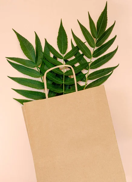 Craft paper bag mockup with green leaves on pink background. Zero waste