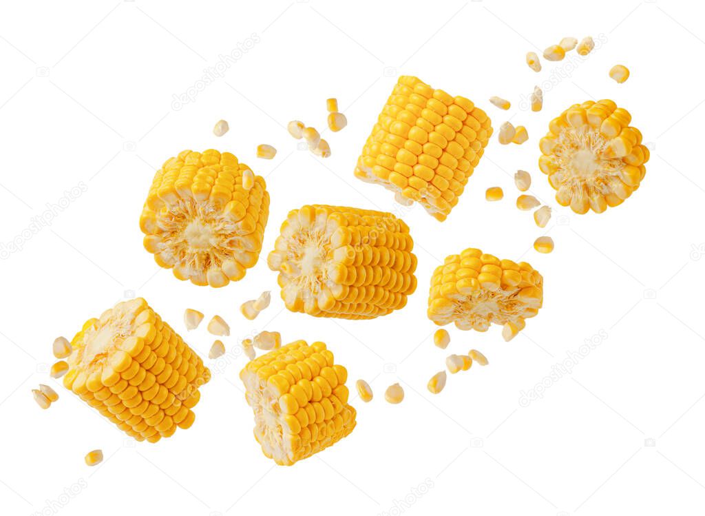 Broken flying sweet corn cob with grains isolated on white background. Design element for product label, catalog print.
