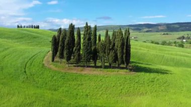 İtalya, Toskana, Val d 'Orcia, Siena Eyaleti, San Quirico yakınlarındaki Cypress ağaçları.