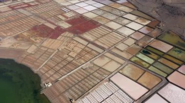 İspanya, Kanarya Adaları, Lanzarote, Salinas de Janubio, tuz işleri