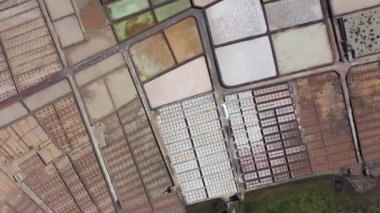 İspanya, Kanarya Adaları, Lanzarote, Salinas de Janubio, tuz işleri