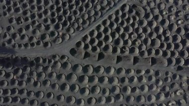 İspanya, Kanarya Adaları, Lanzarote, La Geria, üzüm bağları üzerindeki hava manzarası.