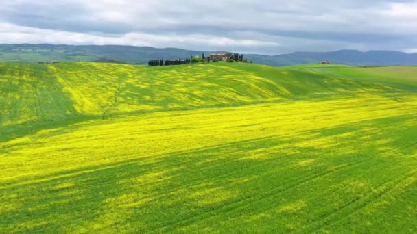 Itália Toscana Val Orcia Província Siena Campos Coloridos Perto Asciano — Vídeo de Stock