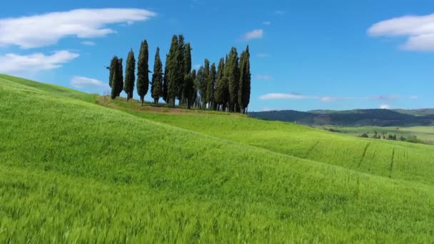 Italia Toscana Val Orcia Provincia Siena Cipreses Cerca San Quirico — Vídeos de Stock