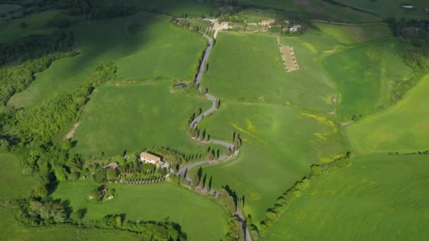 Itália Toscana Val Orcia Província Siena Montichiello Vista Aérea Estrada — Vídeo de Stock