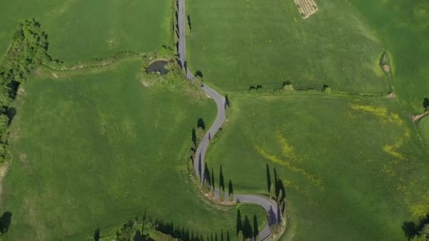 Italien Toscana Val Orcia Provinsen Siena Montichiello Flygfoto Blåsiga Cypress — Stockvideo